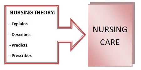 Nursing Theory Diagram