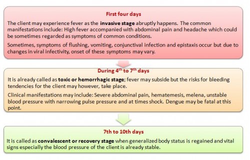 Stages of Dengue Fever