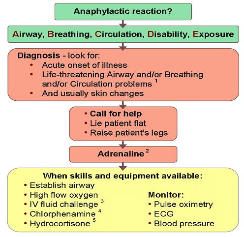 Anaphylactic Shock algorithm