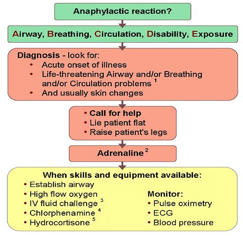 Corticosteroids mechanism of action inflammation