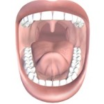 mouth and teeth 150x150 Prometric Practice Exam for Nurses Test 1