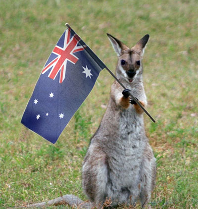 australia-kanggaro