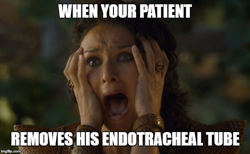 game of throne memes restless patient endotracheal
