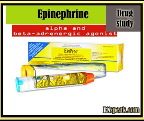 Epinephrine-Drug-Study