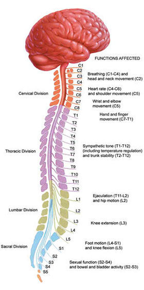 4 Spinal Cord Injury Nursing Care Plan