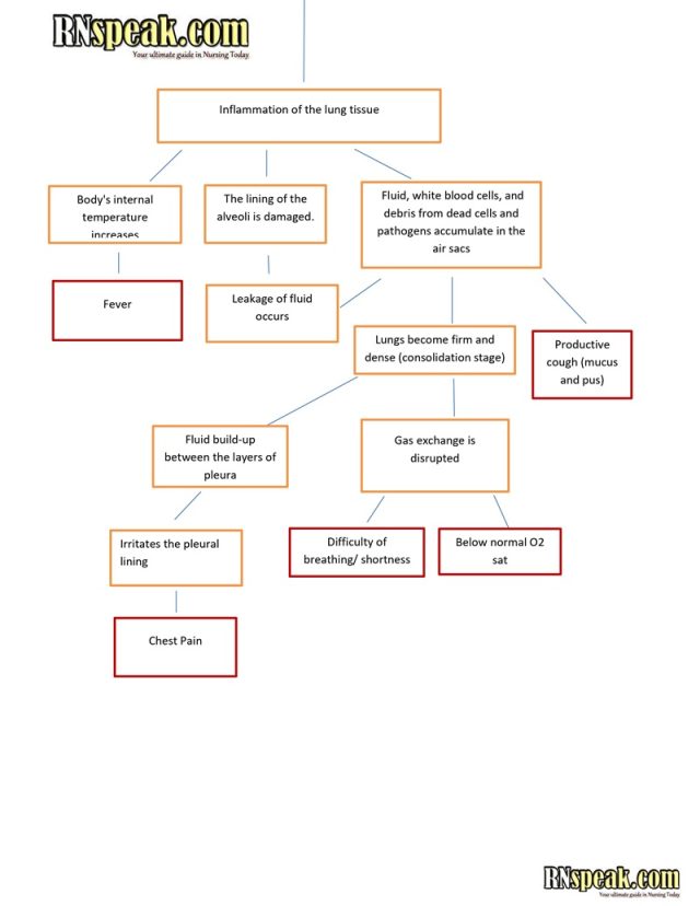 Pneumonia Pathophysiology & Schematic Diagram