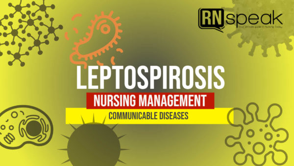 leptospirosis nursing management picture