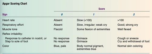 infant apgar score