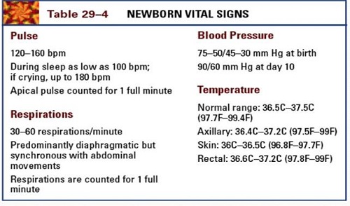 normal newborn vital signs